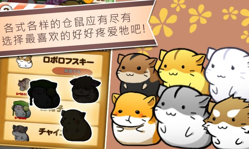 仓鼠的日常游戏中文破解版2