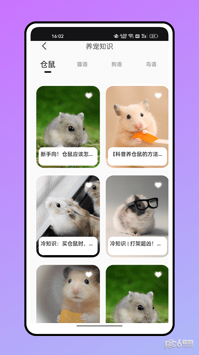 仓鼠翻译器3