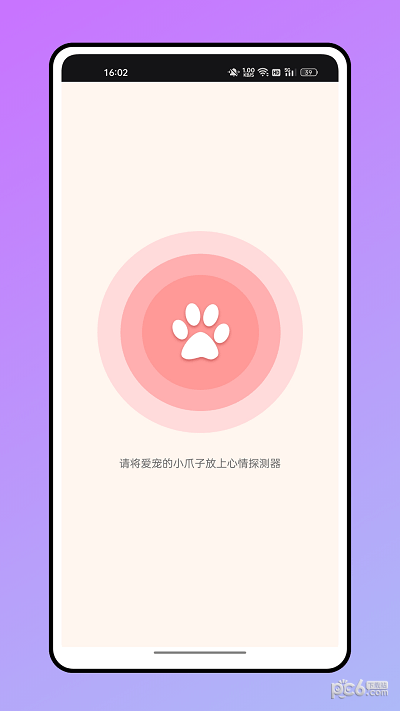 仓鼠翻译器4