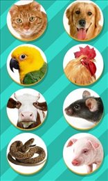 仓鼠语言翻译器（PetTranslator）3
