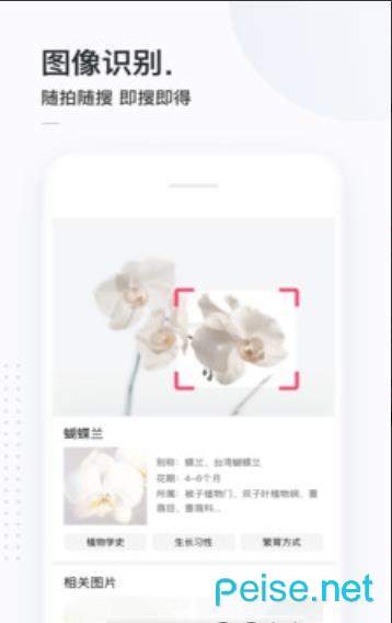 二哈搜索最新版2