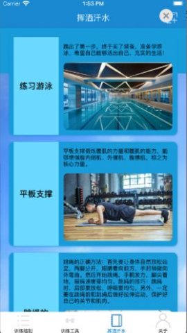 彩色拉力带3
