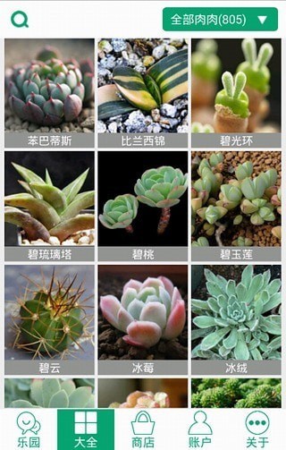 多肉植物安卓版1
