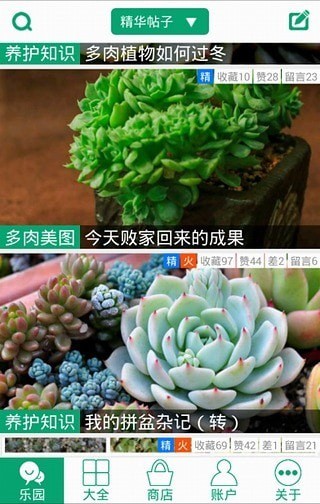 多肉植物安卓版5