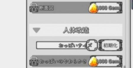 NejiSim3汉化版1