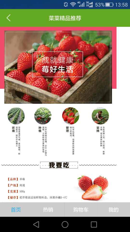 菜菜网安卓版4