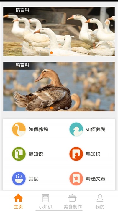 鹅鸭之家红包版正版1