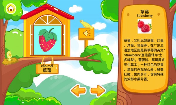 儿童宝宝认水果无限金币2