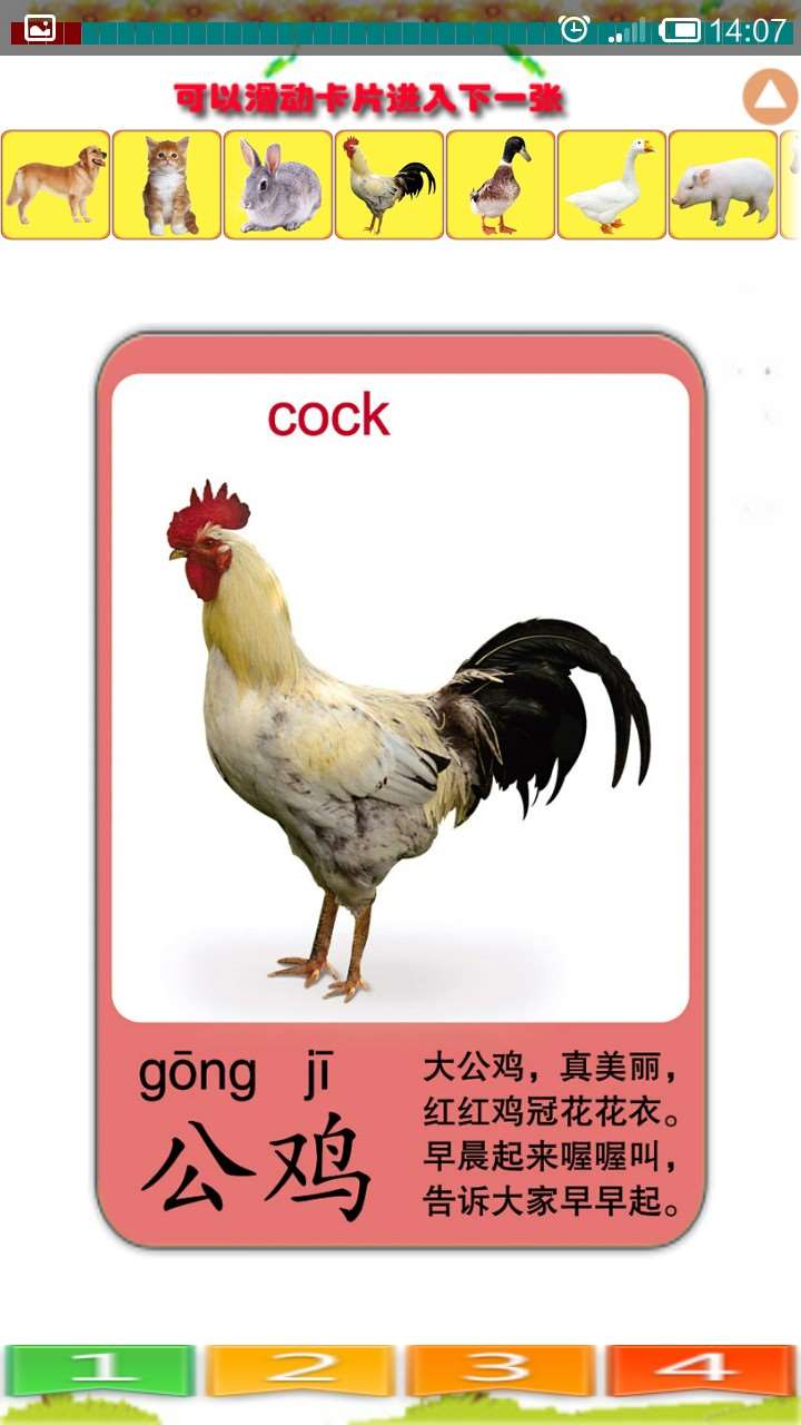 儿童识动物安卓版4