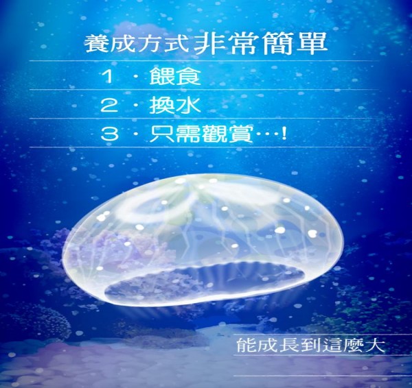 海蜇养成手机版4