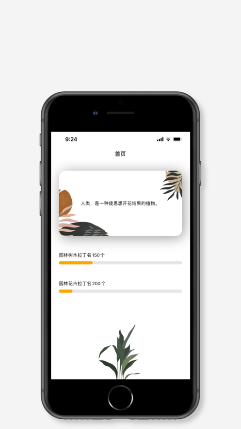 拉丁园最新版3