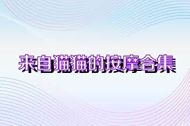 来自猫猫的按摩合集