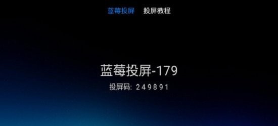蓝莓投屏app1