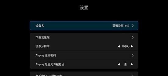 蓝莓投屏app2