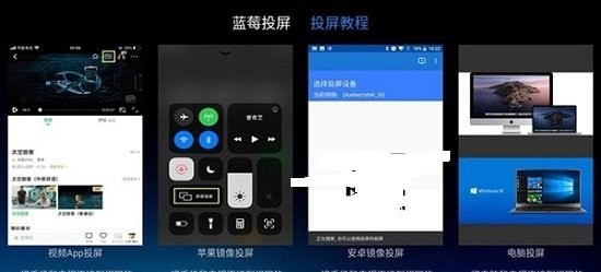 蓝莓投屏app3