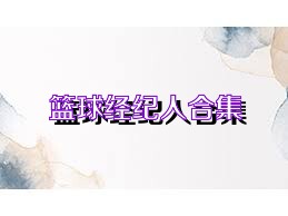 篮球经纪人合集
