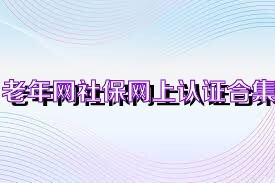 老年网社保网上认证合集