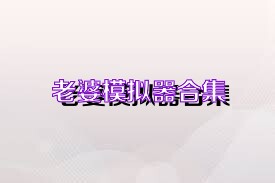 老婆模拟器合集