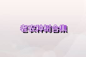 老农种树合集