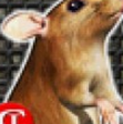 老鼠下水道大逃亡