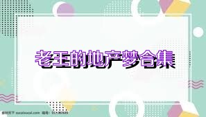 老王的地产梦合集