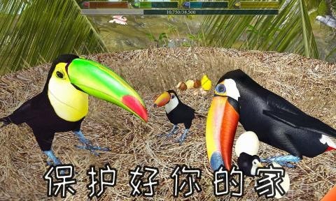 老鹰模拟器5