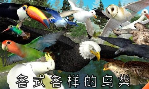 老鹰模拟器最新版1