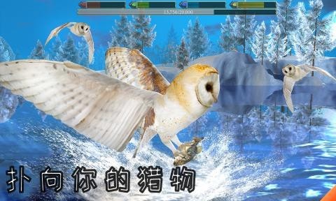 老鹰模拟器最新版2