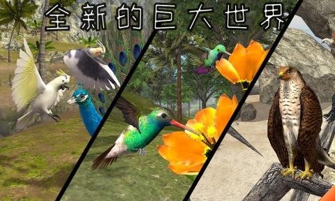 老鹰模拟器最新版3