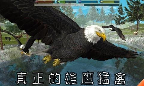 老鹰模拟器最新版4