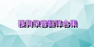 搜狗录音翻译合集