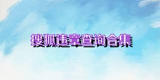 搜狐违章查询合集