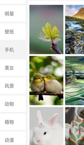 搜图界app最新版3