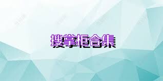 搜掌柜合集
