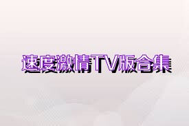 速度激情TV版合集