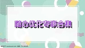 随心优化专家合集