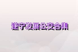 遂宁发展公交合集