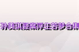 孙美琪疑案浮生若梦合集