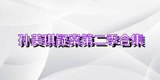 孙美琪疑案第二季合集