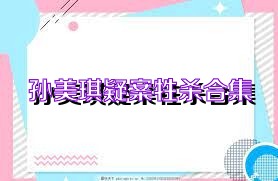 孙美琪疑案牲杀合集