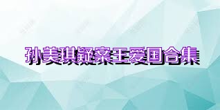 孙美琪疑案王爱国合集