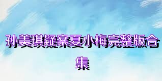 孙美琪疑案夏小梅完整版合集