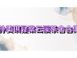 孙美琪疑案云溪茶舍合集
