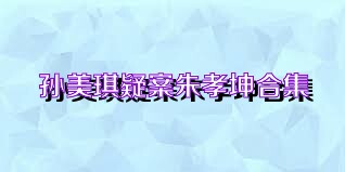 孙美琪疑案朱孝坤合集