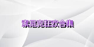 索尼克狂欢合集