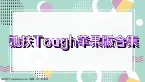 她扶Tough苹果版合集