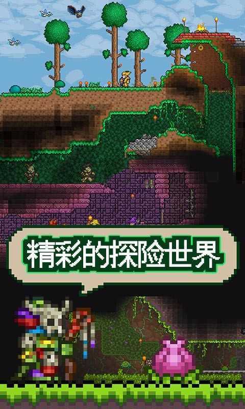 泰拉瑞亚全物品存档3