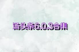 汤头条6.0.3合集