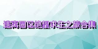 逃离园区绝望求生之旅合集