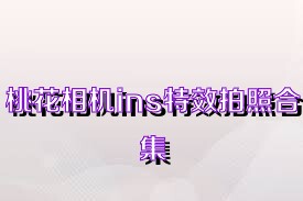 桃花相机ins特效拍照合集